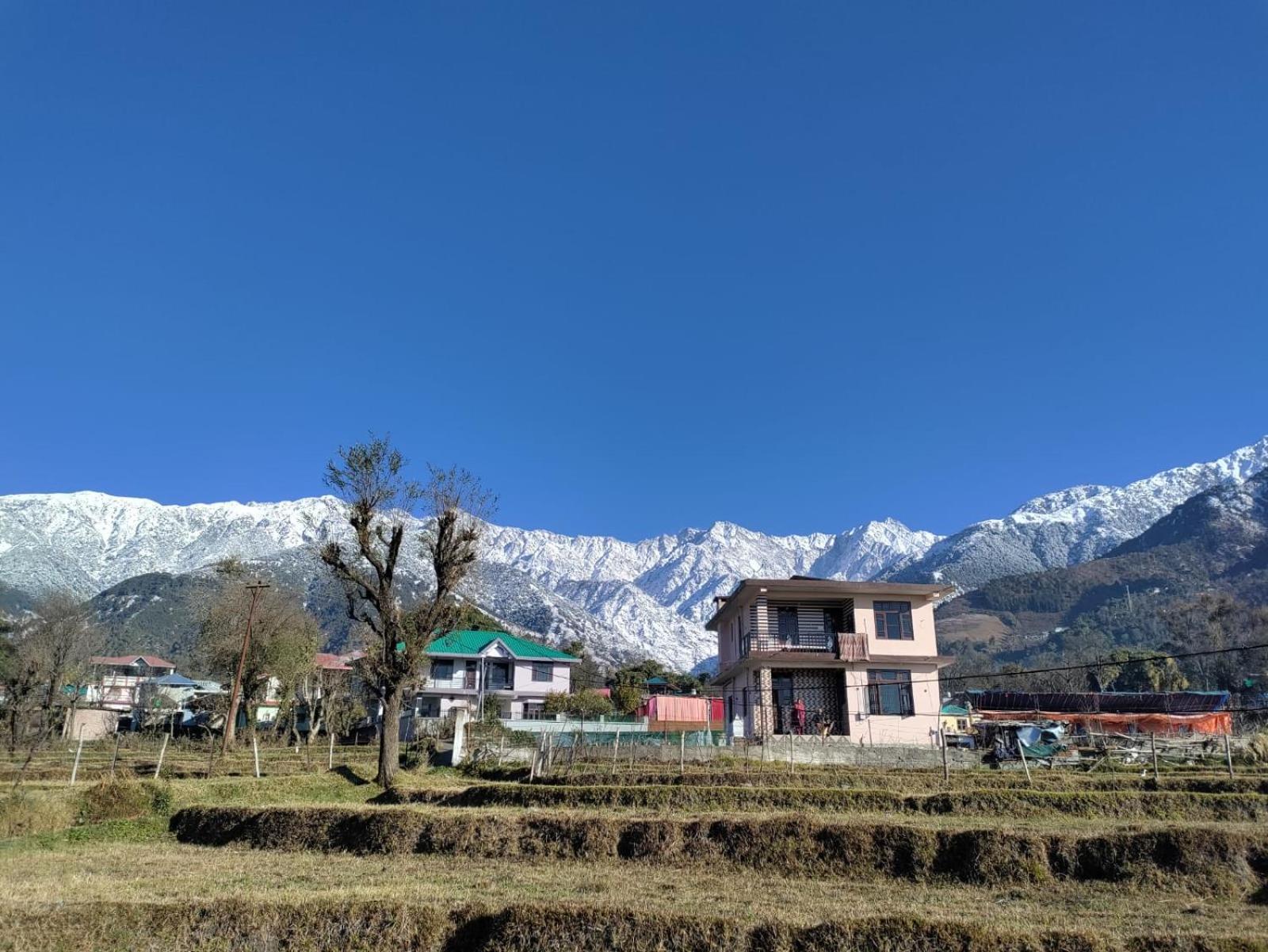 Homestay Palampur View Экстерьер фото