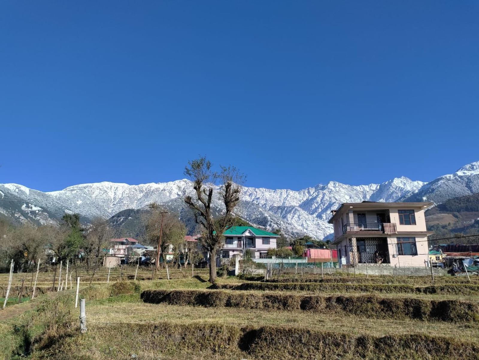 Homestay Palampur View Экстерьер фото