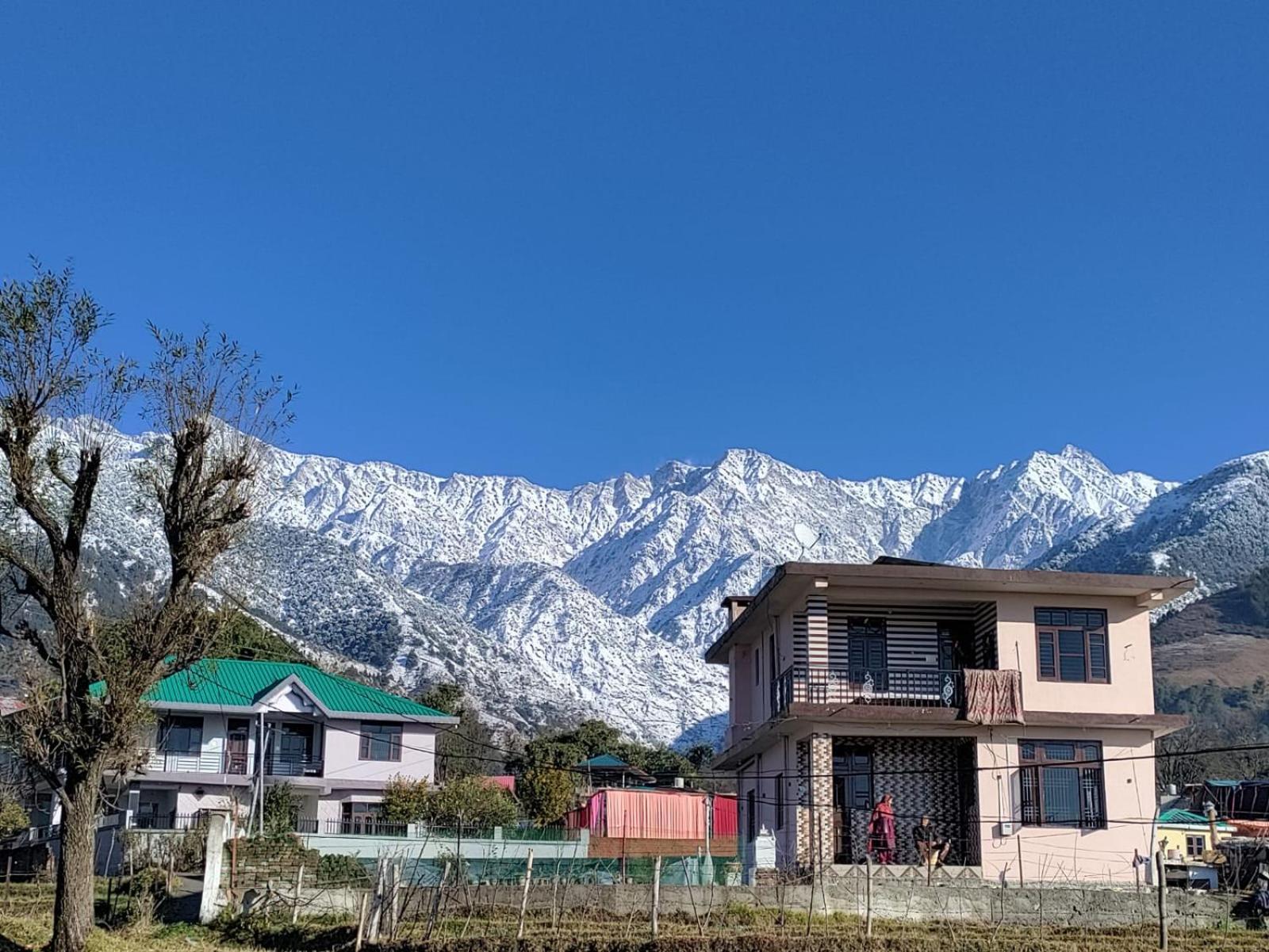 Homestay Palampur View Экстерьер фото